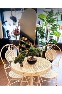 Ferforje Set Masa Sandalye Balkon Takımı Bahçe Takımı Kafe Takımı